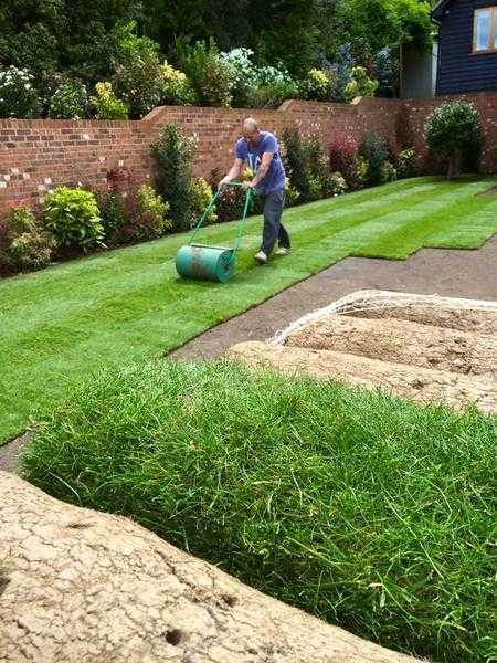 Grass cutting and Garden Services