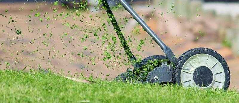 Grass cutting, Hedge Cutting amp Small Tree Cutting