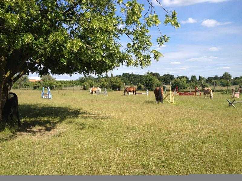 Grazing Livery BedfontHounslow Border 4 spaces ava. 1 Oct