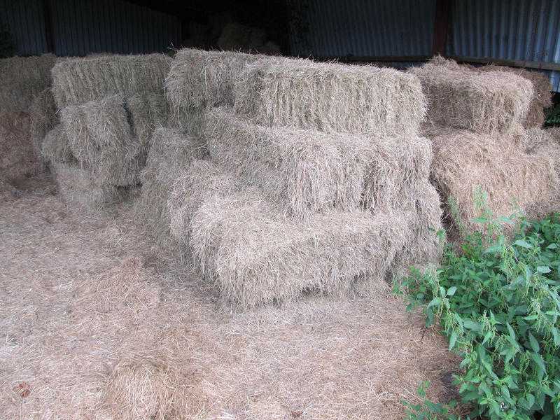 Great quality small bale meadow hay