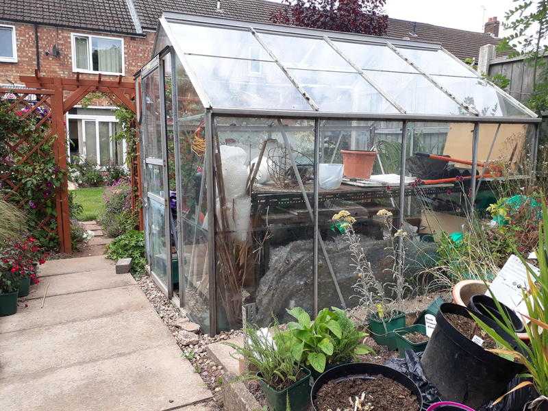 Green House available FREE