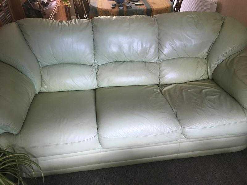 Green sofa and arm chair free