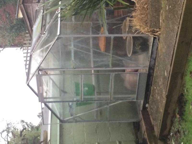 Greenhouse 7ft by 6ft 15