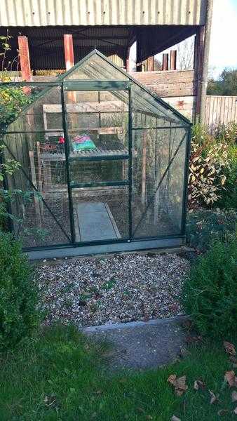 Greenhouse excellent condition 8ft by 6ft tempered glass