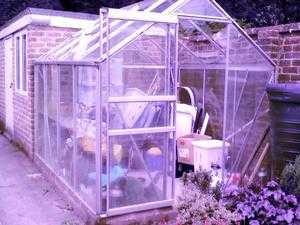 GREENHOUSE GLASS WANTED