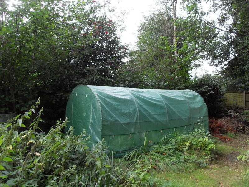 Greenhouse Pollytunnel Poly Tunnel 5m x 2m