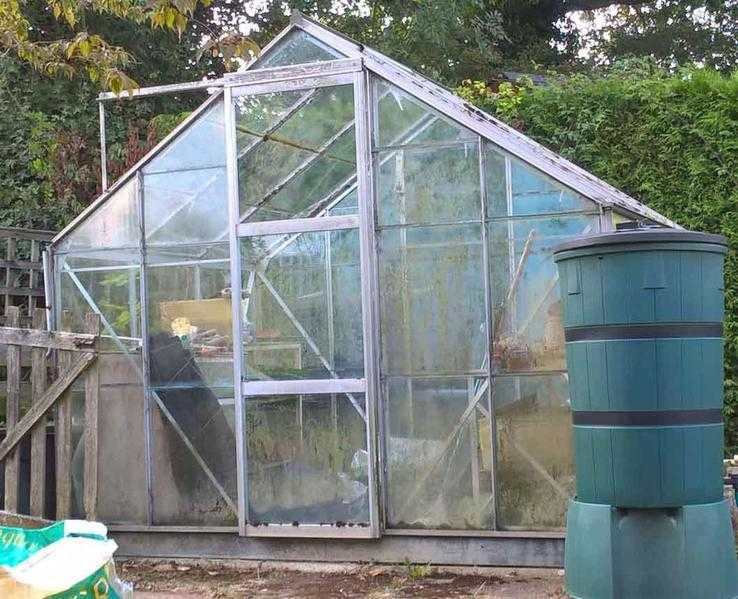 Greenhouse to clear. Staplehurst Kent.