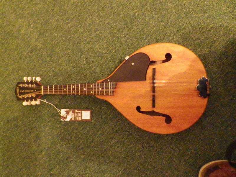 Gretsch New Yorker Mandolin G9310