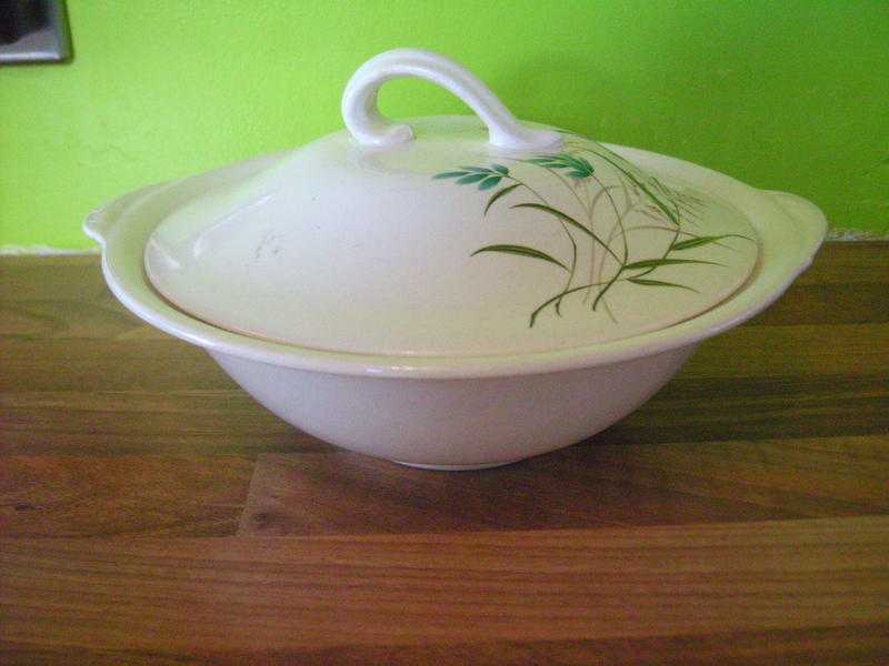Grindley Pottery 1950039s Tureen Serving Dish in Cream with Green, Blue amp Red LeafFlower Pattern