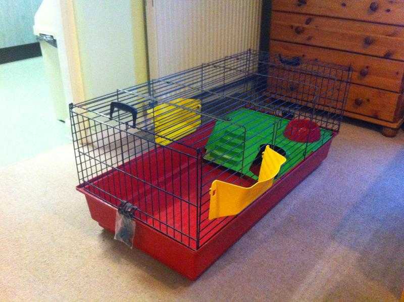 Guinea Pig and Rabbit Cage