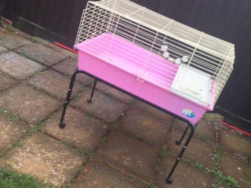 Guinea pig cage