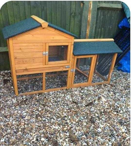 Guinea Pig Hutch