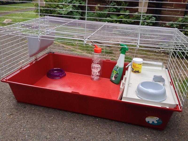 guinea pig large cage and accessories, food