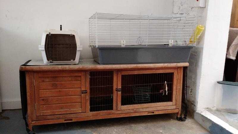 Guinea Pig  Rabbit Cages