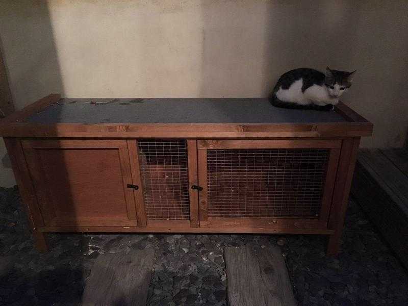 Guinea pig  rabbit hutch