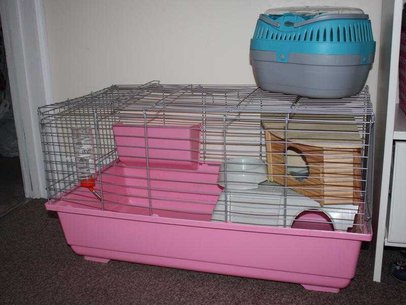 Guinee Pig Miniature Rabbit Cage with Accessories