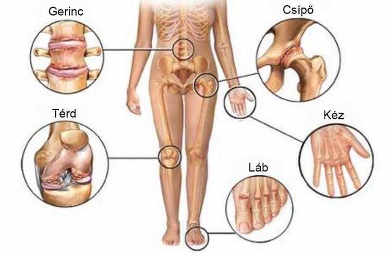 GUNA treatment in our private Clinic in Budapest in Birmingham