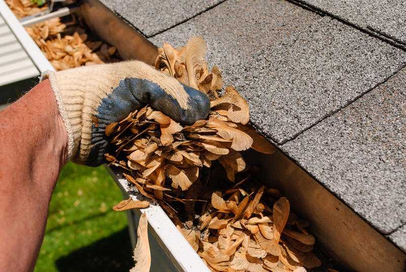 Gutter cleaning professional service amp competitive price