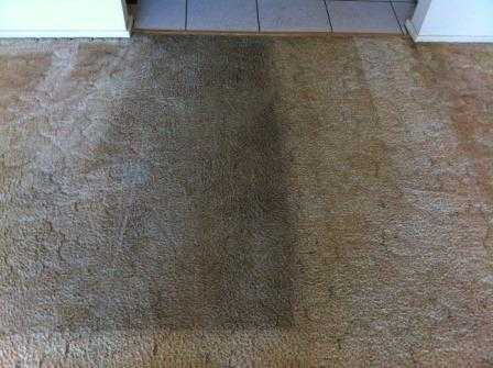GVS Carpet amp Upholstery Cleaning