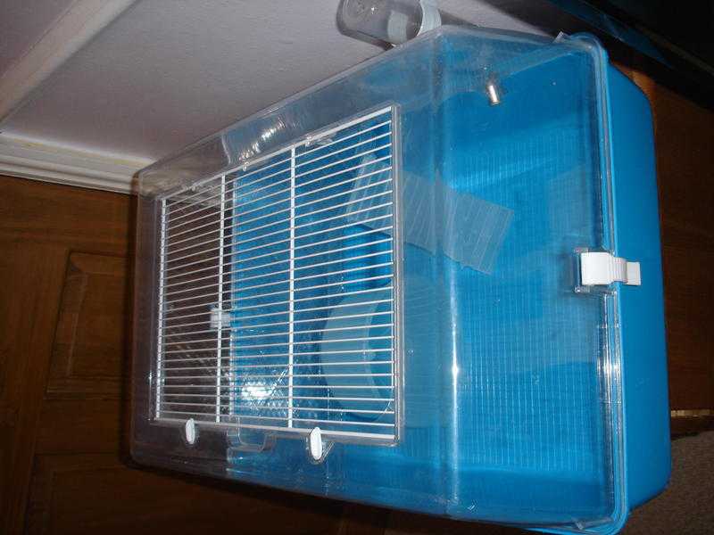 Hamster cage