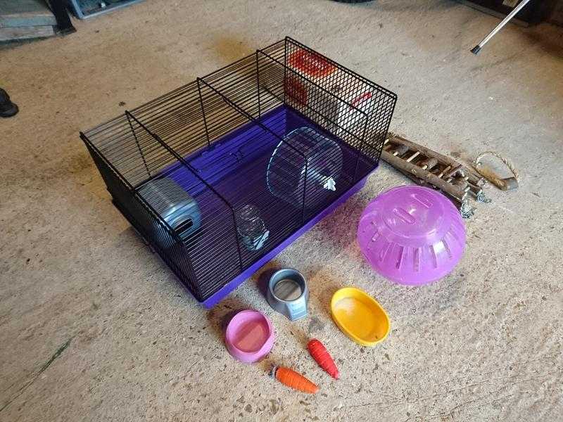 Hamster cage