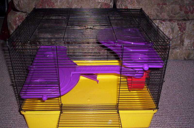 hamster cage