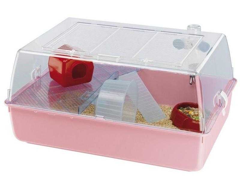 HAMSTER CAGE amp ACCESSORIES