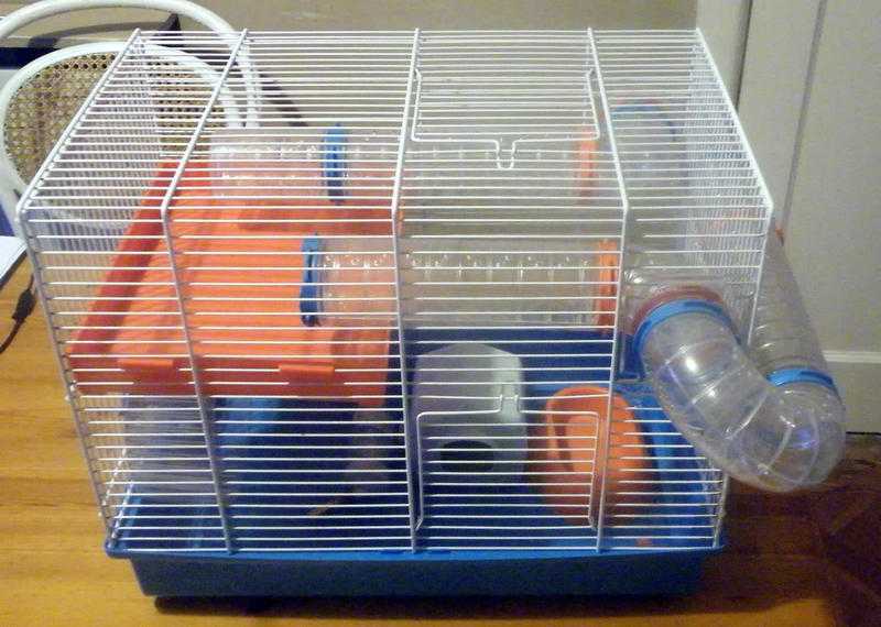 Hamster Cage for sale