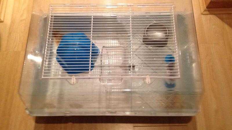 Hamsterdwarf hamster ferplast tank