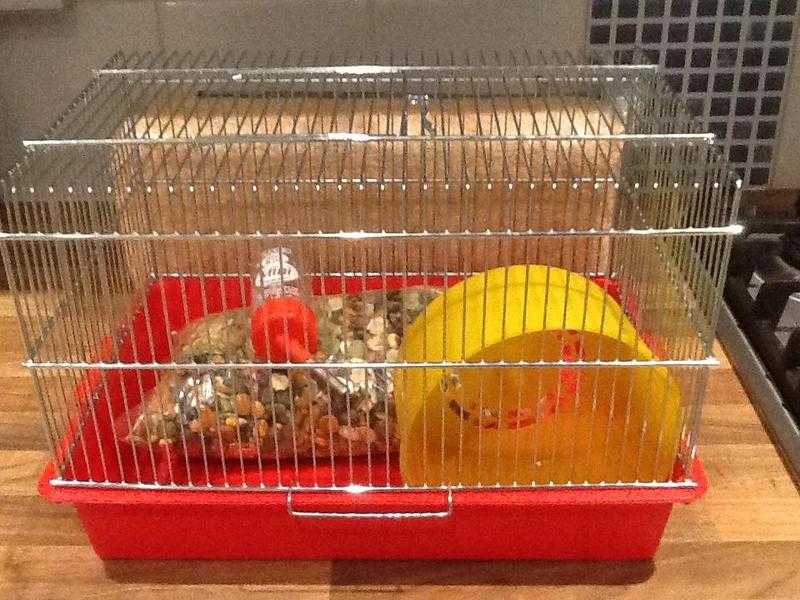 Hamsters cage