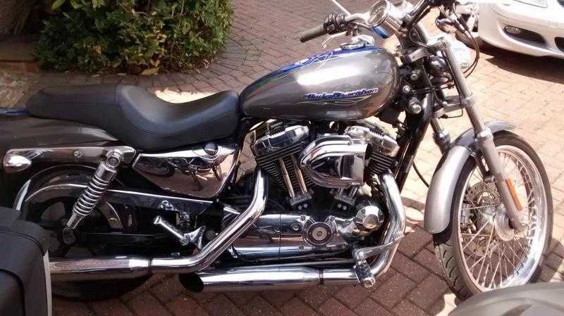 Harley Davidson Sportser XL1200C Special 2005 low miles may consider scooter in pexch