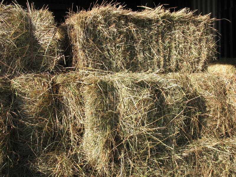 Hay Bales