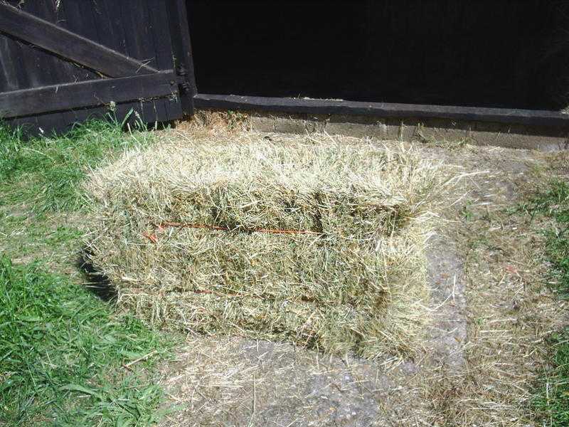 Hay bales for sale in Kent
