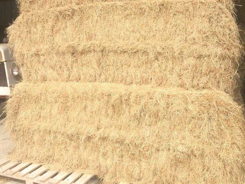 Hay Organic (2015) Last Year Excellent condition