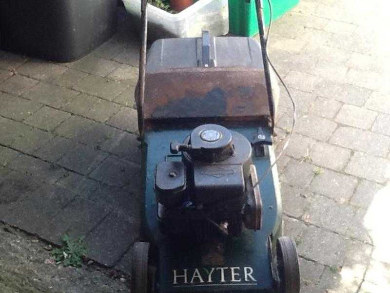 Hayter petrol mower