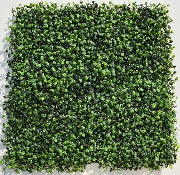 Hedged In artificial hedge boxwood 50x50cm panel