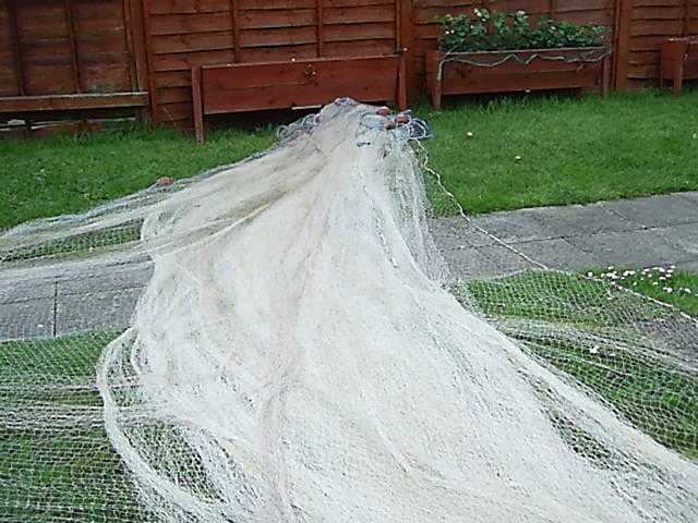Herring net