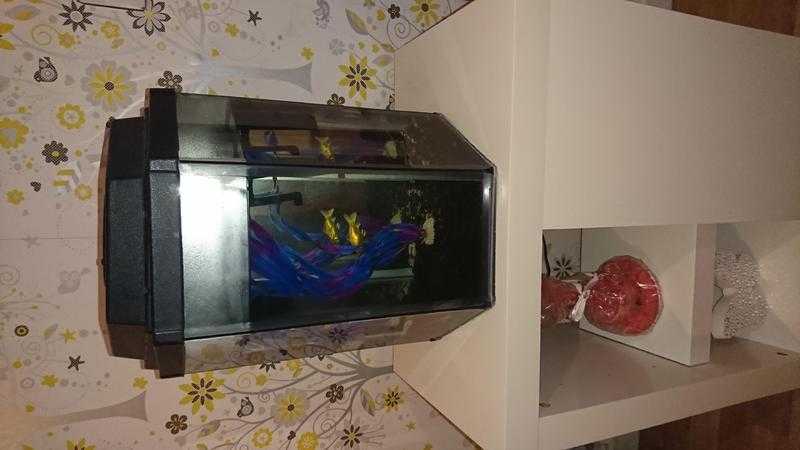 Hexagon shaped fish tank for sale