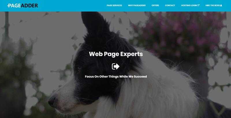 Hire A Web Page Expert To Reach Your Online Goals