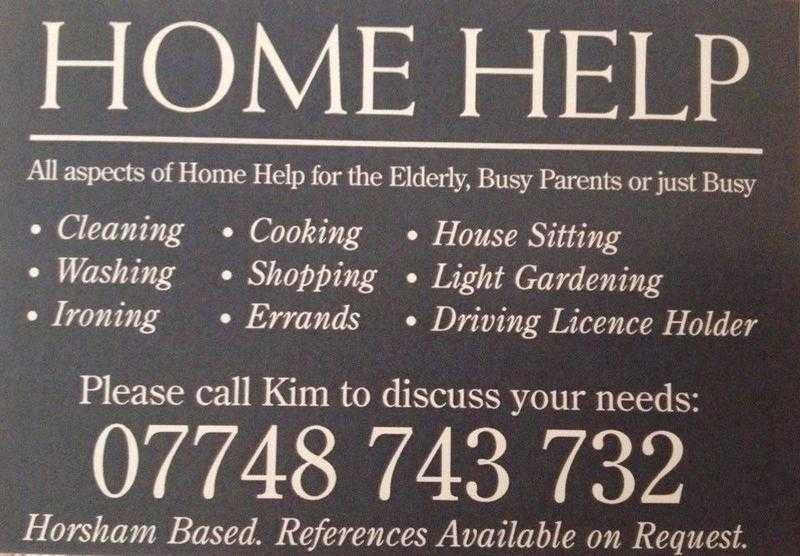 Home Help for the Elderly, Busy Parents, or just Busy.
