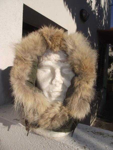 HOOD REQUIRED FOR BLUE ARCTIC WOODS PARKA - WANTED WANTED