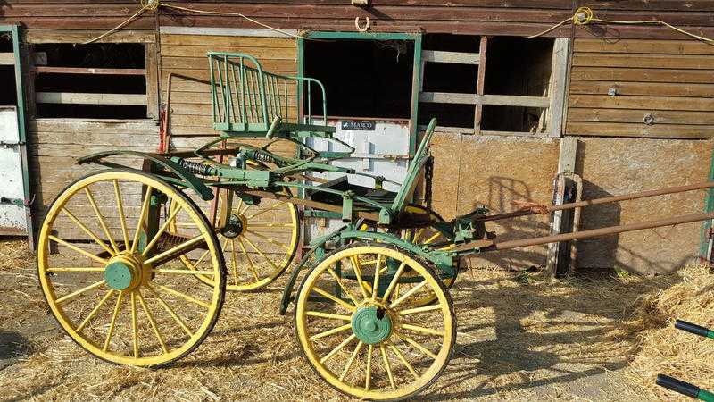 horse carriage