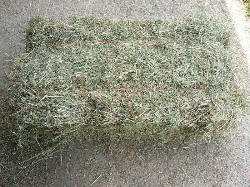 Horse Hay (Quality 2016 Meadow Hay)