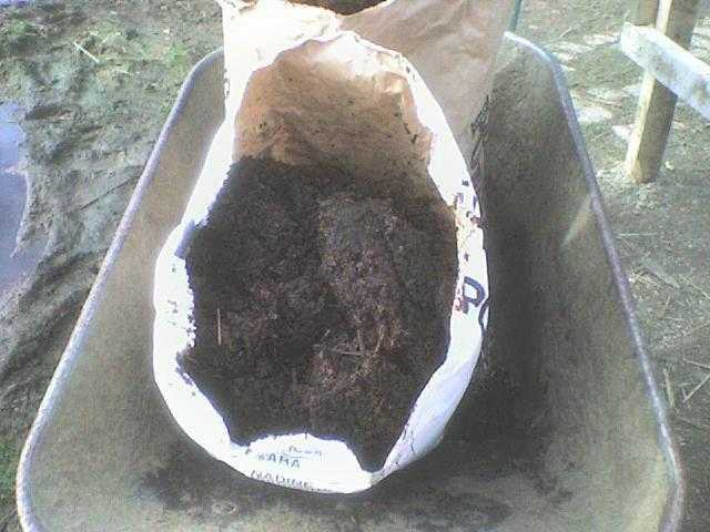 Horse Manure  Compost  Well rotted
