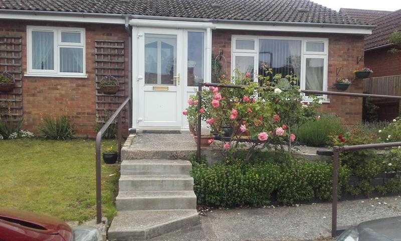 house or bungalow in eastbourne 2 or 3 bed with shower wanted