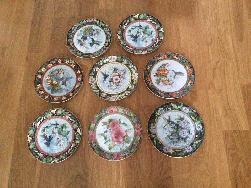 Humingbird collectors plates