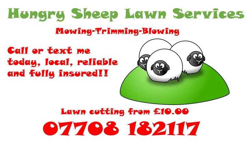 Hungry sheep lawn services