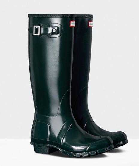 HUNTER WELLIES