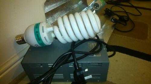 Hydroponics Lighting Kit and Ballast