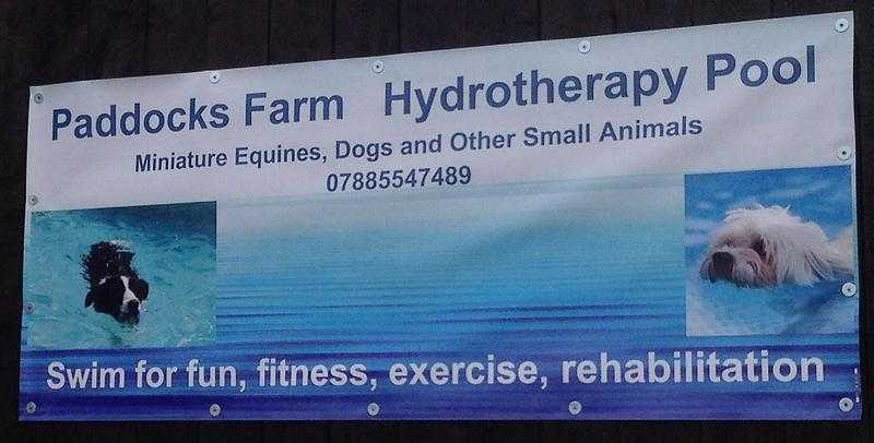 Hydrotherapy Pool Treatments and Fun and Fitness Swimming